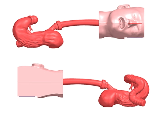 Drawing of Upper Gastrointestinal Simulator