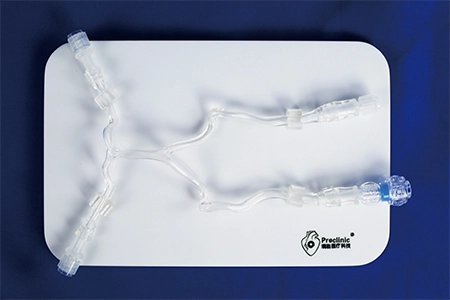 Posterior Cerebral Circulation Vessel Model