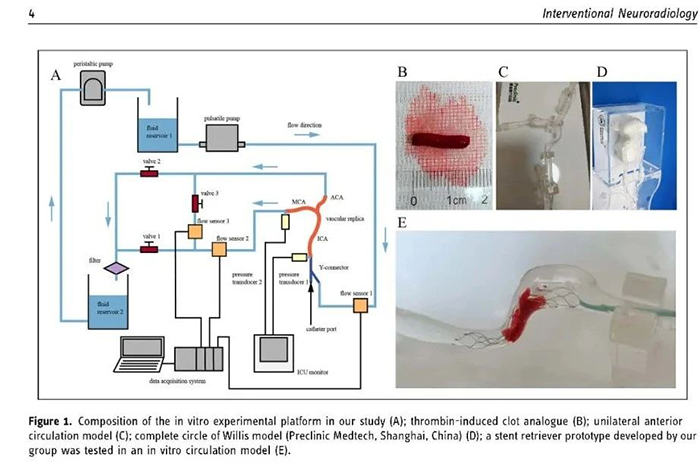 preclinic models