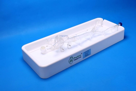 左心耳血管模型
