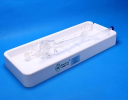 左心耳血管模型