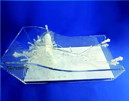 右心-肺动脉仿真模型