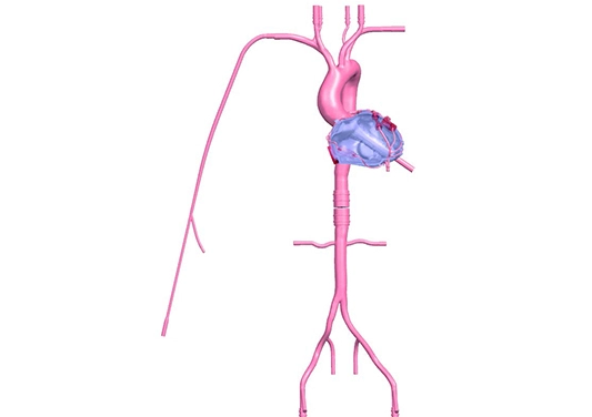 Drawing of Coronary Artery Simulation Model