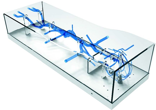 Drawing of Intracranial Femoral Vein Model