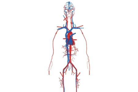 Two Recent Developments of Medical Simulation Models