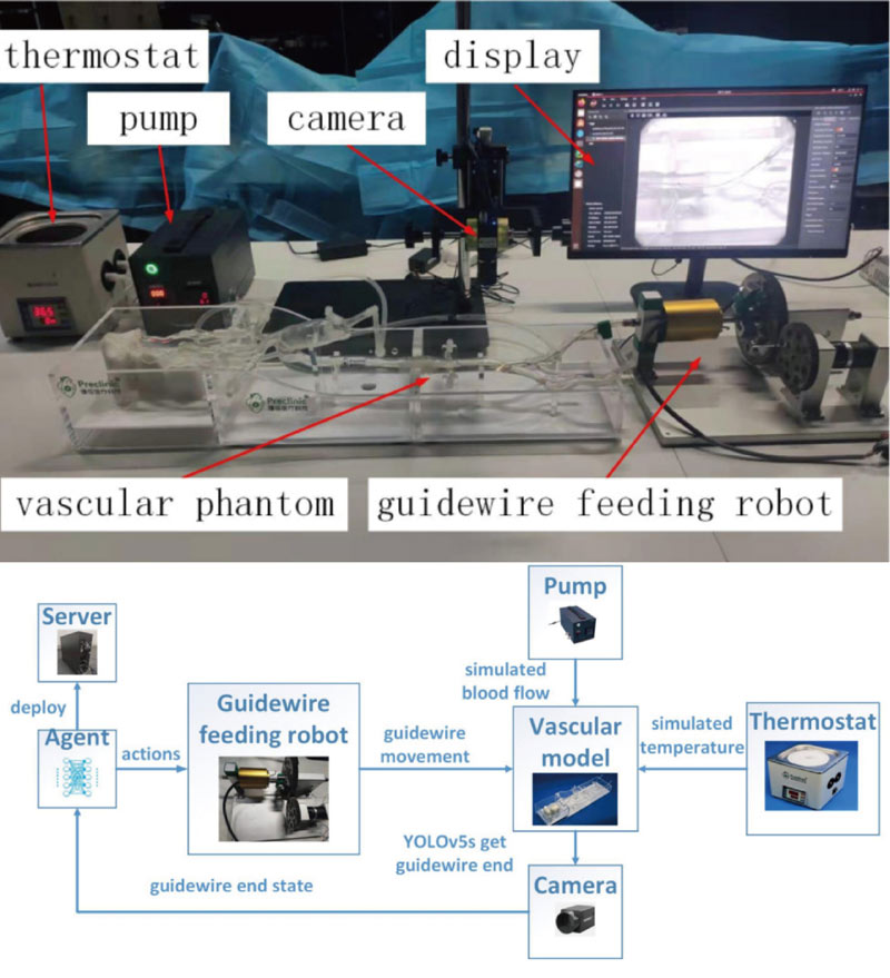 Simulating Real Cases in the Silicone Vessel