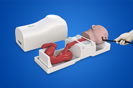 上消化道内镜介入训练模型
