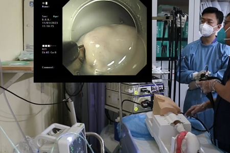 胃镜ESD手术训练模型