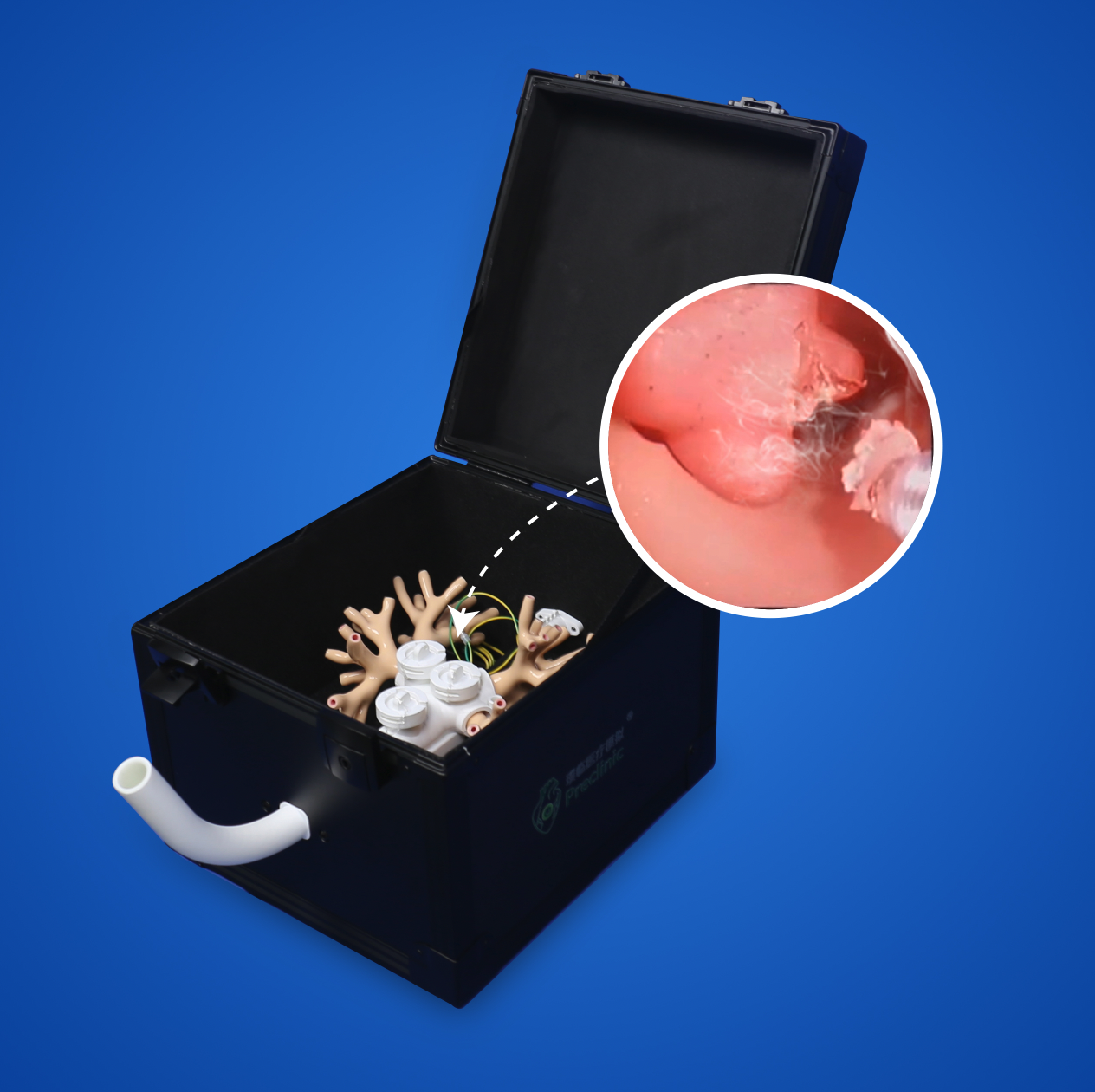 支气管腔内治疗训练模型