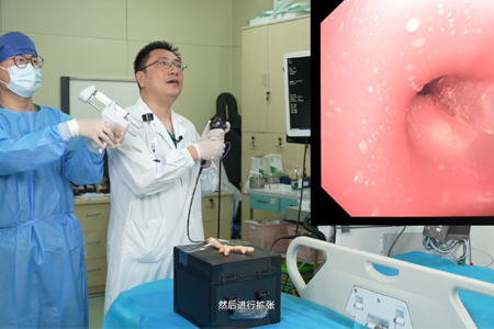 气道狭窄治疗训练模型