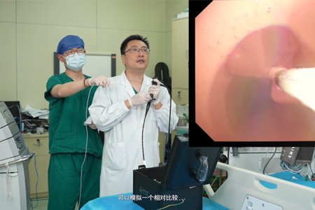 支气管腔内治疗训练模型