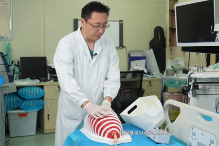 内科胸腔镜训练模型
