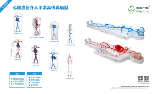 医学科普|心血管仿真模型介绍