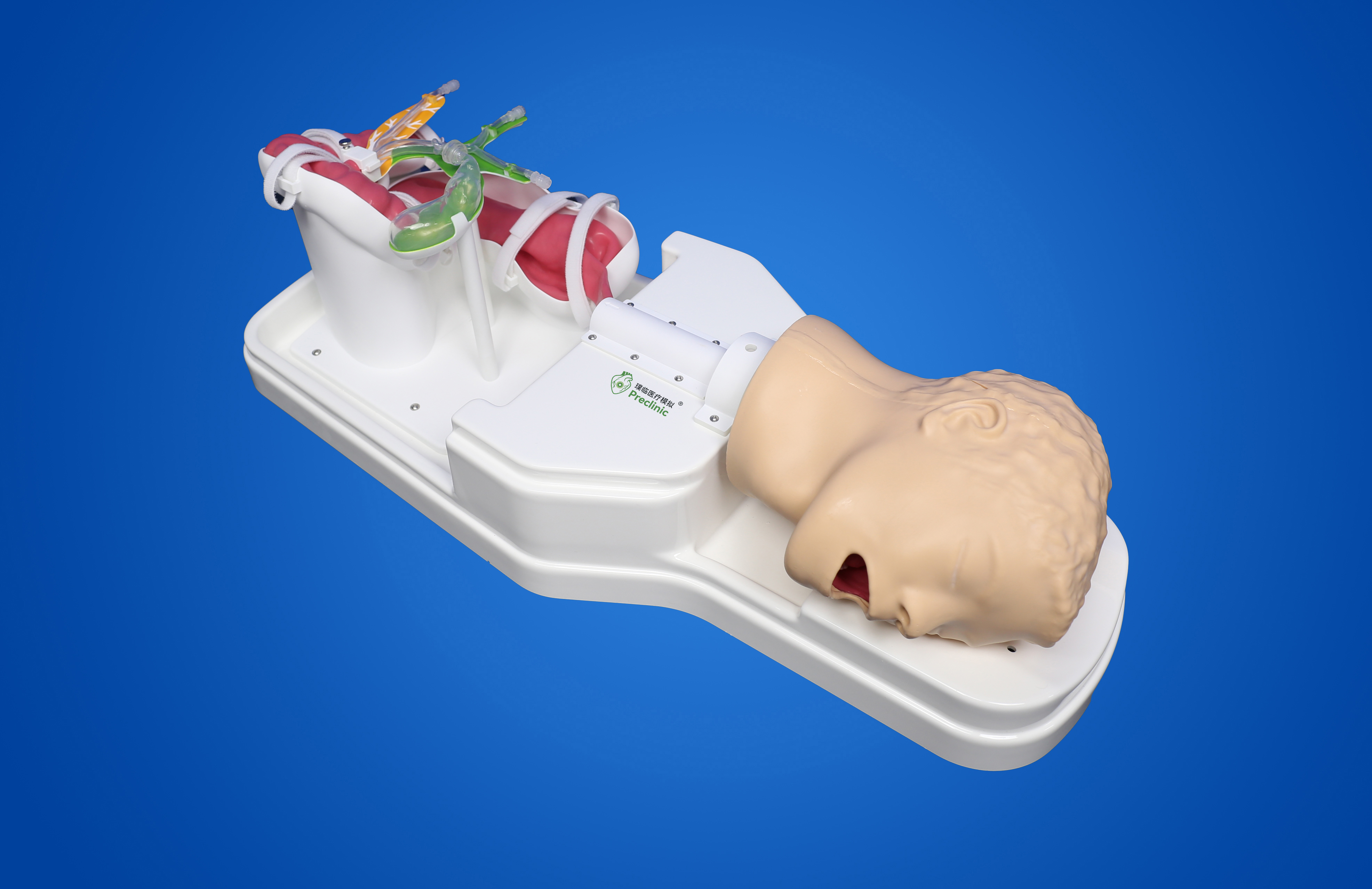ERCP手术训练模型