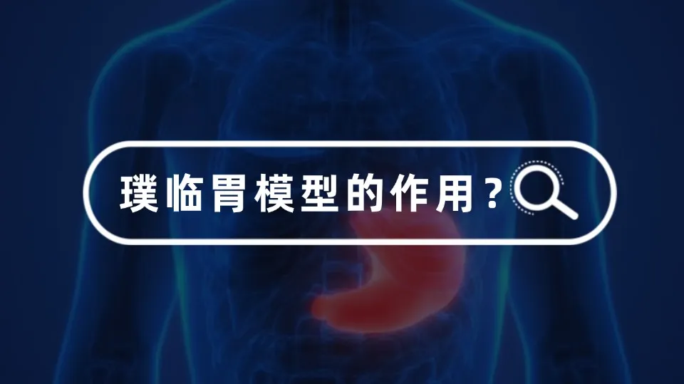 胃模型点亮医疗教学与研究新路径