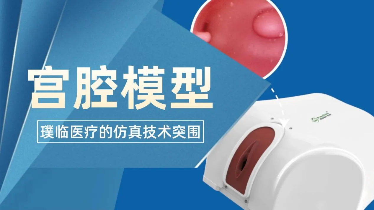 宫腔模型背后的智慧：璞临医疗的仿真技术突围