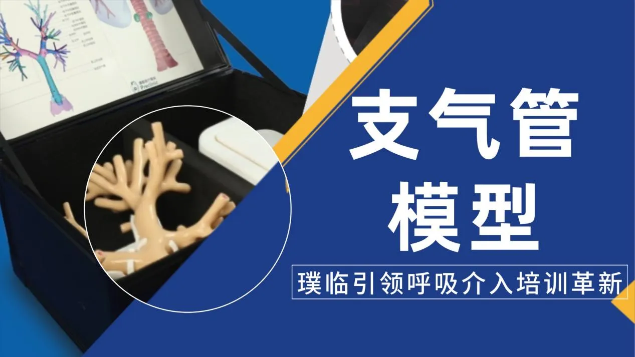 璞临医疗支气管模型，引领呼吸介入培训革新