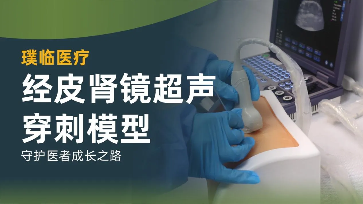 璞临医疗经皮肾镜超声穿刺模型，守护医者成长之路