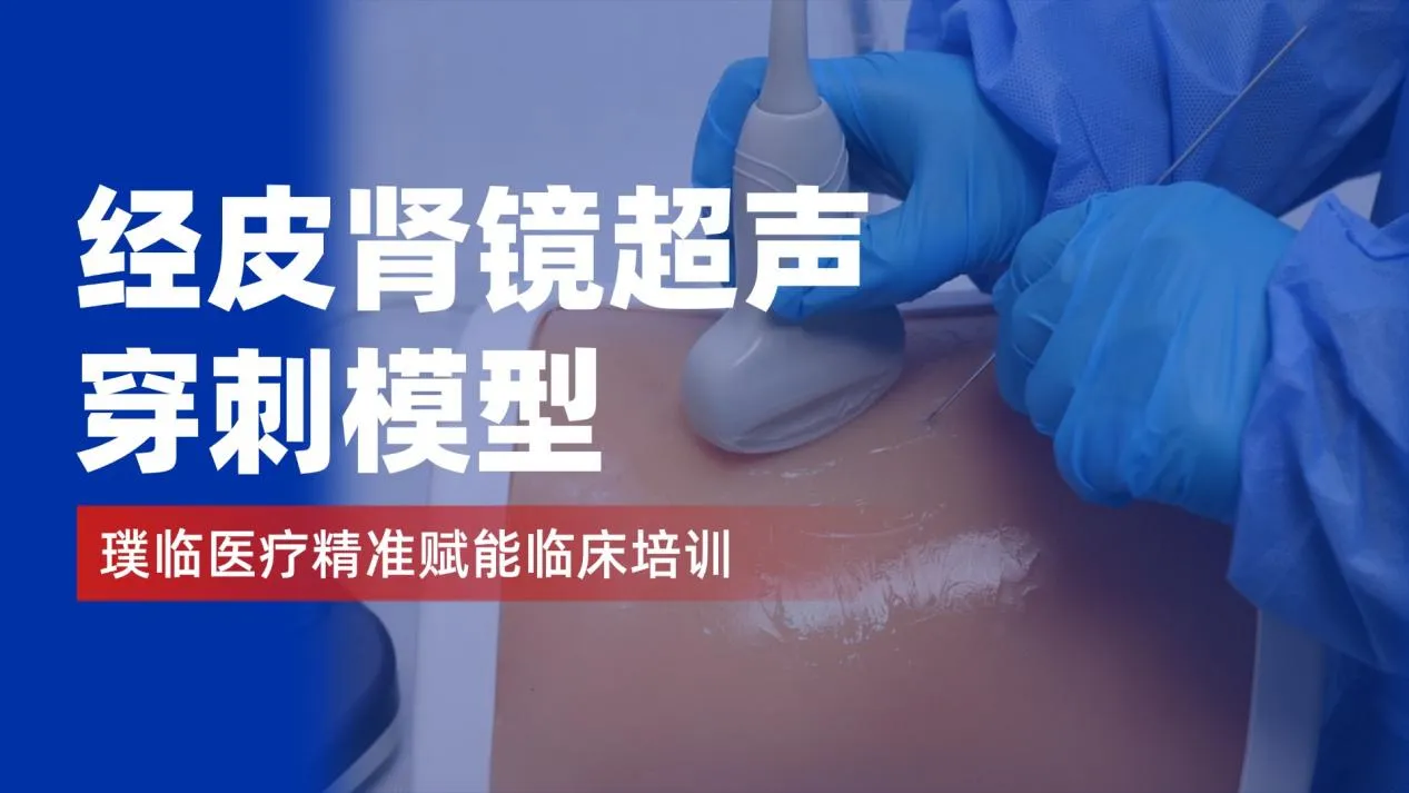 璞临医疗经皮肾镜超声穿刺模型，精准赋能临床培训