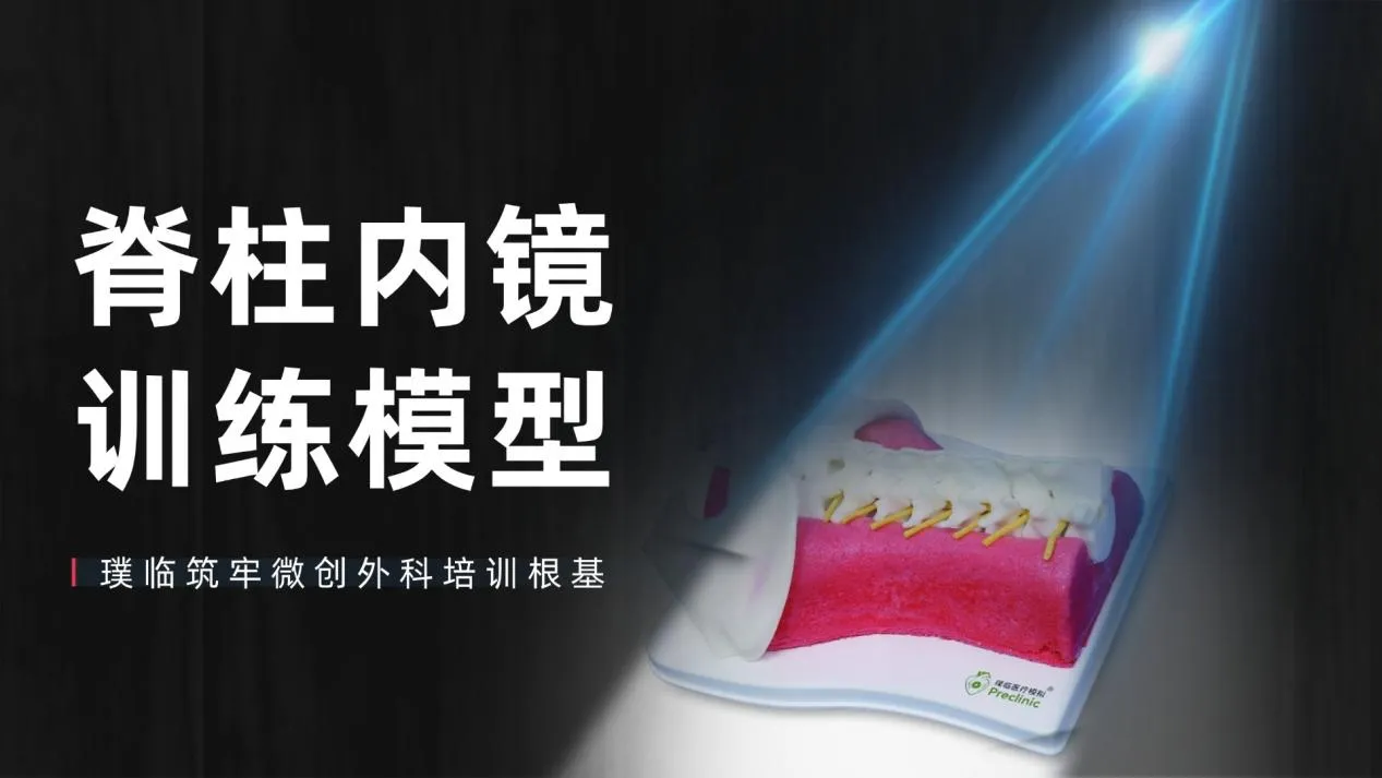 脊柱内镜训练模型，筑牢微创外科培训根基