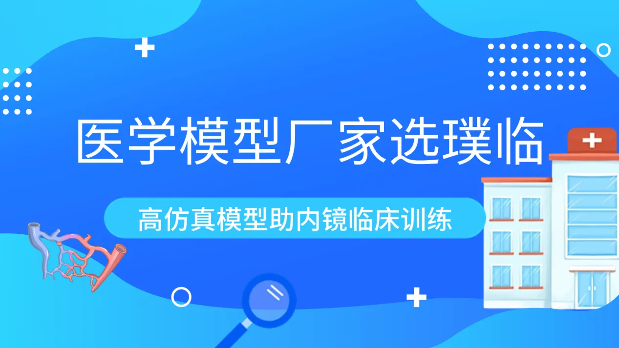 医学模型厂家选璞临！高仿真模型助内镜临床训练