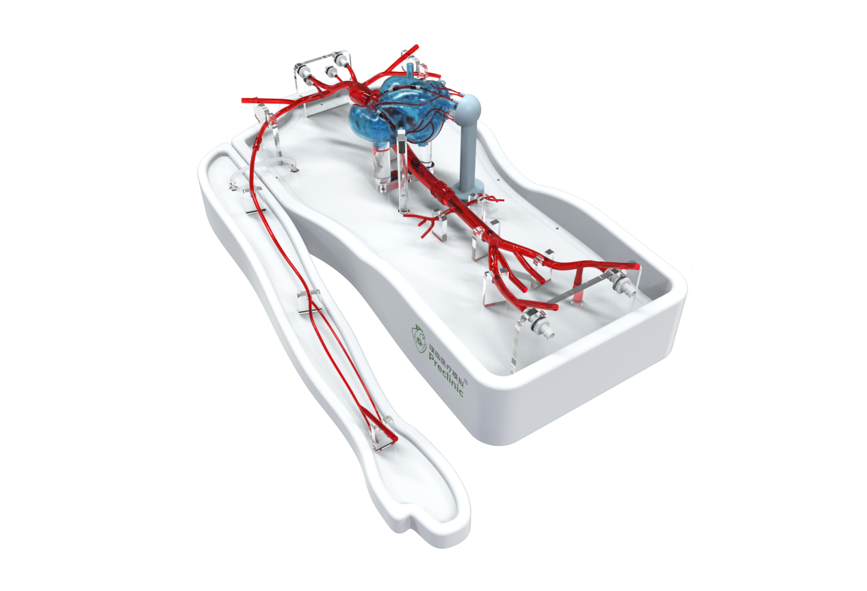 心血管模型.png