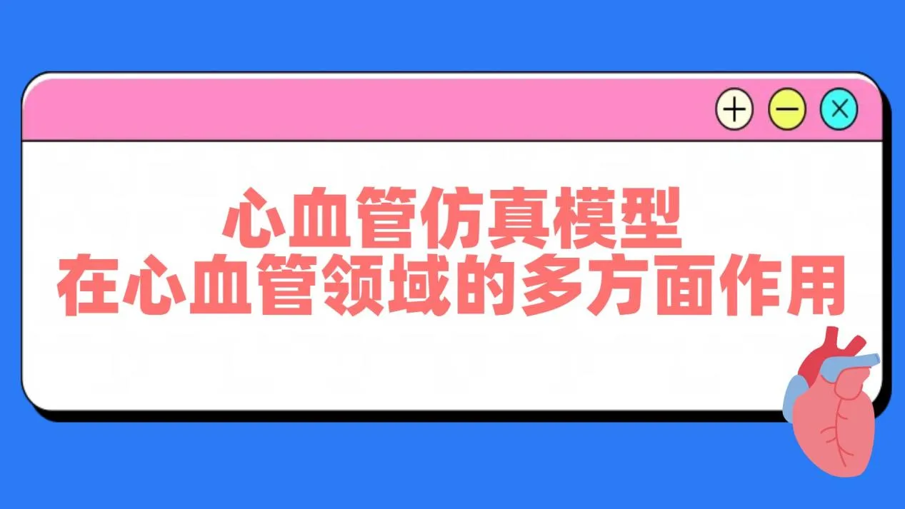 心血管仿真模型在心血管领域的多方面作用