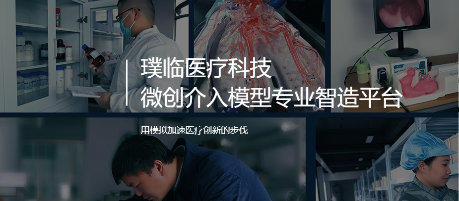 璞临医疗模型模拟.png