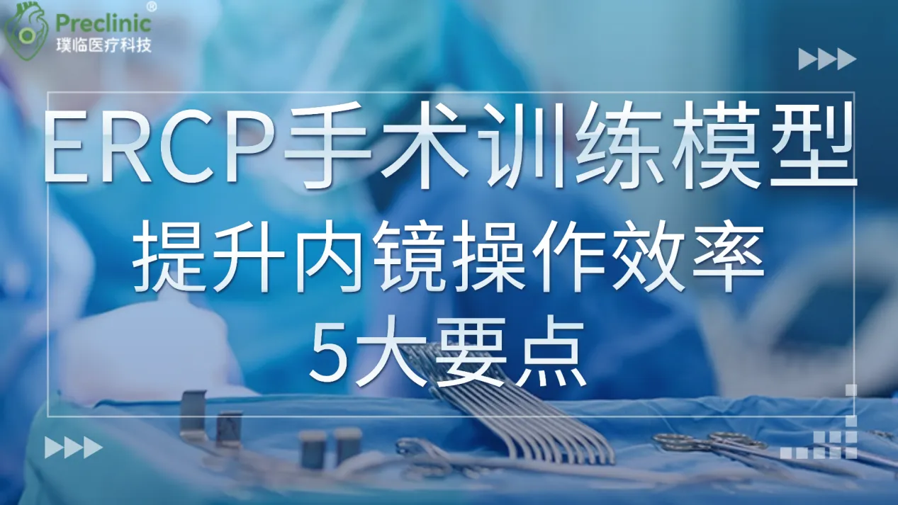 ERCP手术训练模型全解析：提升内镜操作效率的5大要点