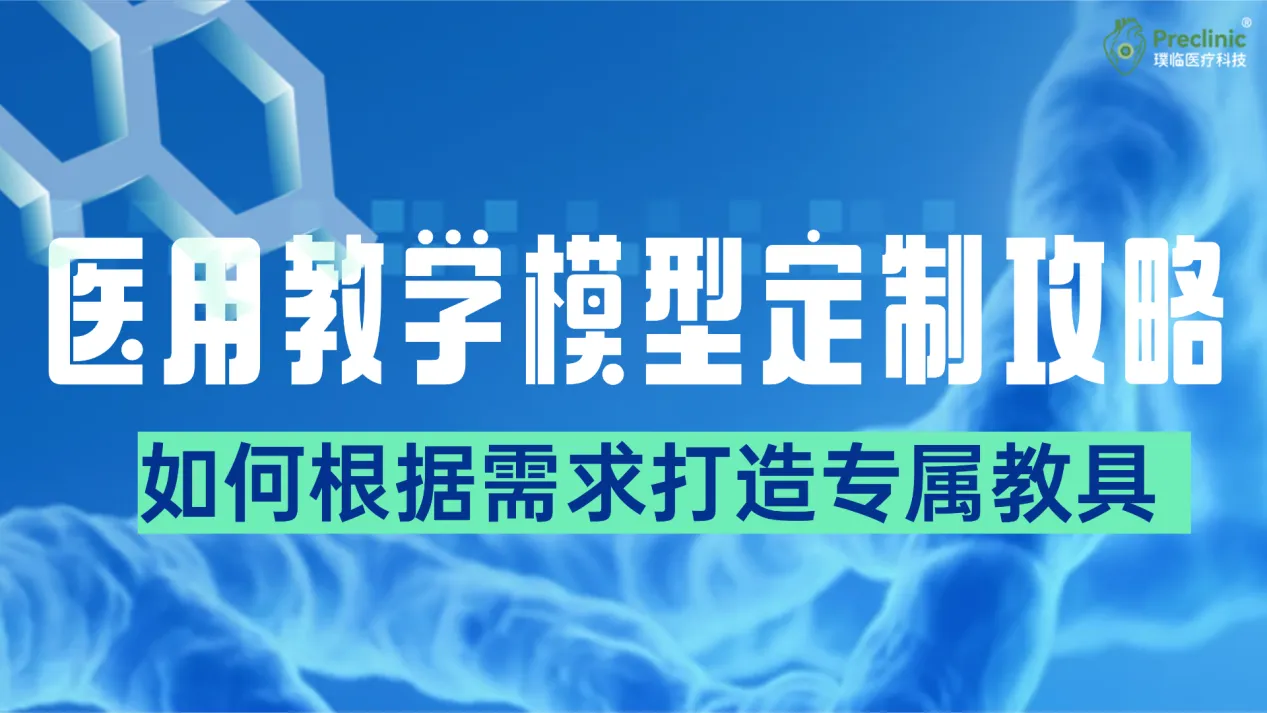 医用教学模型定制攻略：如何根据需求打造专属教具