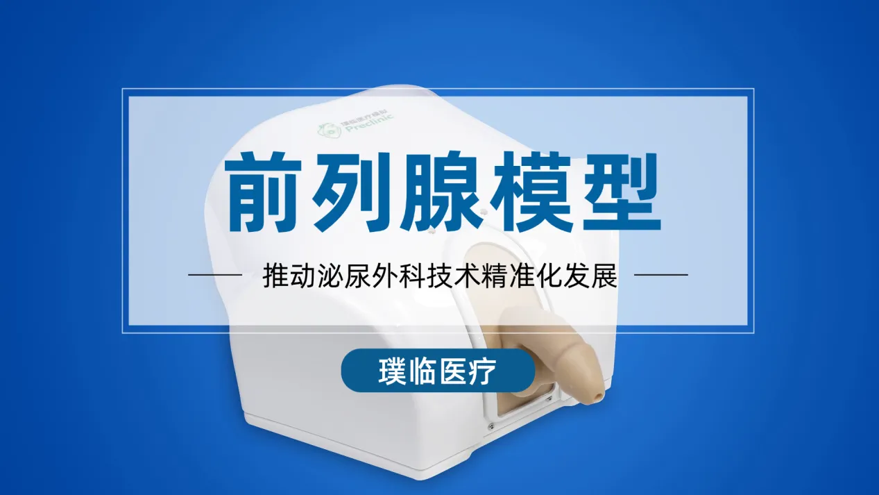 璞临医疗前列腺模型：推动泌尿外科技术精准化发展
