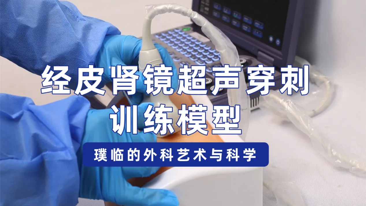 璞临经皮肾镜超声穿刺训练模型的外科艺术与科学