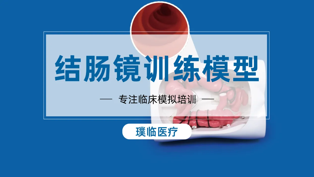 璞临医疗结肠模型：专注临床模拟培训