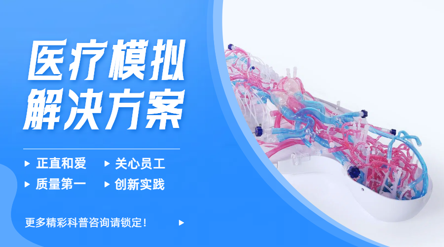 璞临医疗模型.png