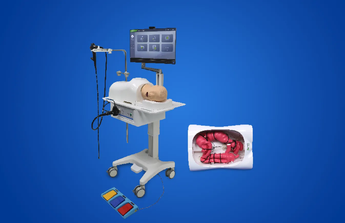 胃肠镜一体化仿真模拟器