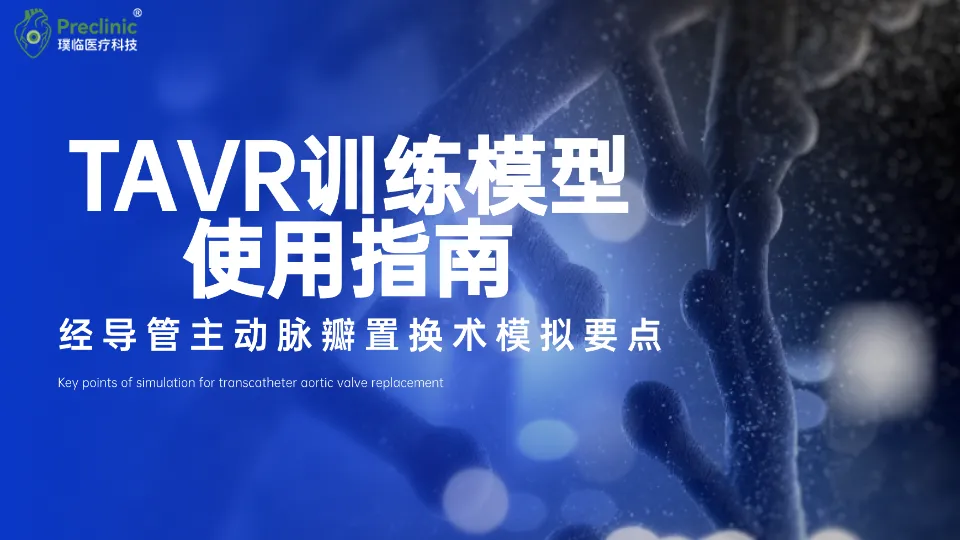 ​TAVR训练模型使用指南：经导管主动脉瓣置换术模拟要点