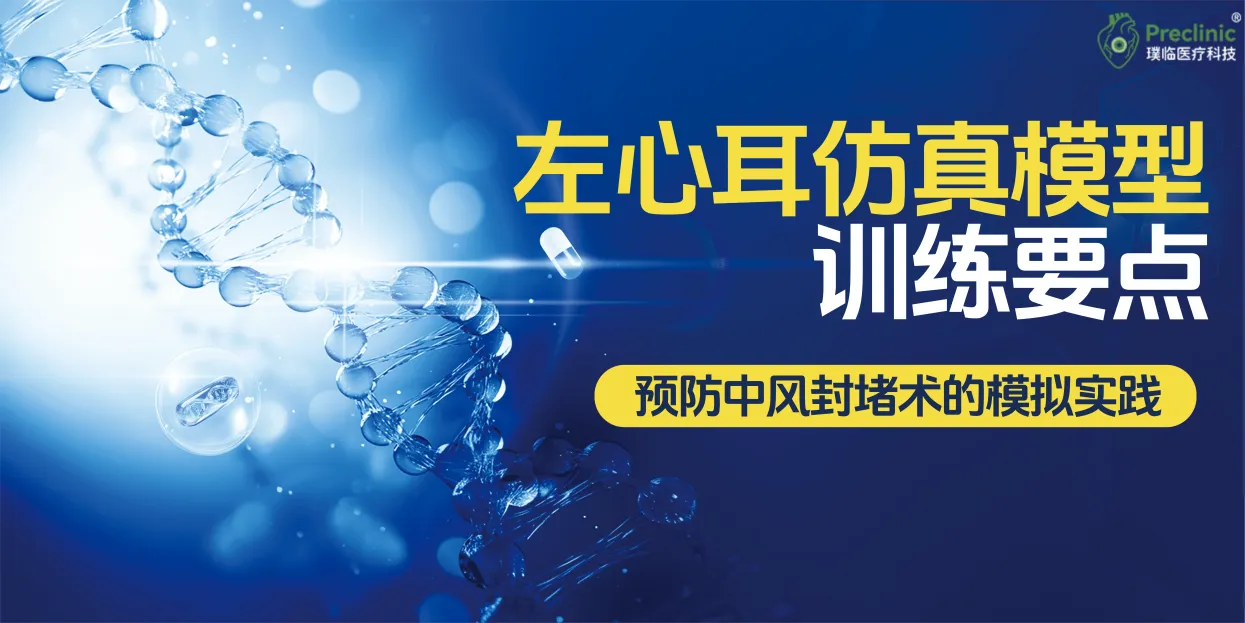 左心耳仿真模型训练要点：预防中风封堵术的模拟实践
