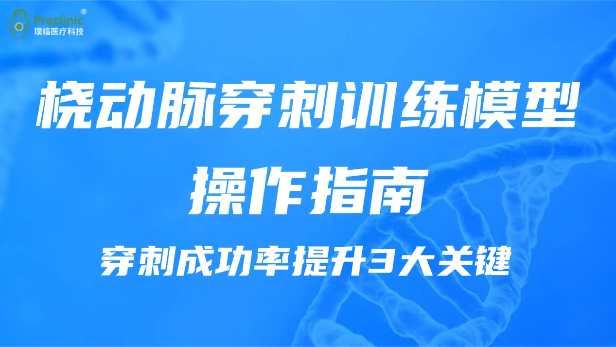 桡动脉穿刺训练模型操作指南：穿刺成功率提升3大关键