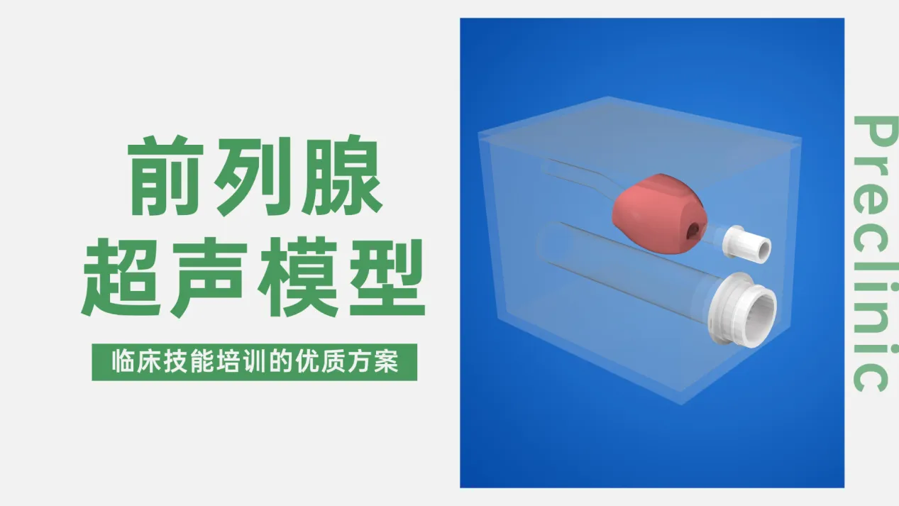 前列腺超声训练模型A型：临床技能培训的优质方案