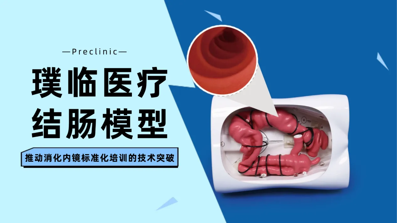 结肠镜训练模型：推动消化内镜标准化培训的技术突破