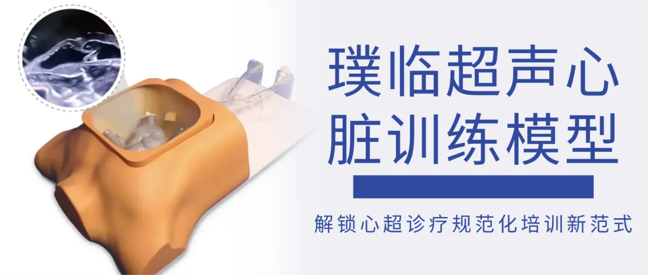 璞临超声心脏训练模型：解锁心超诊疗规范化培训新范式