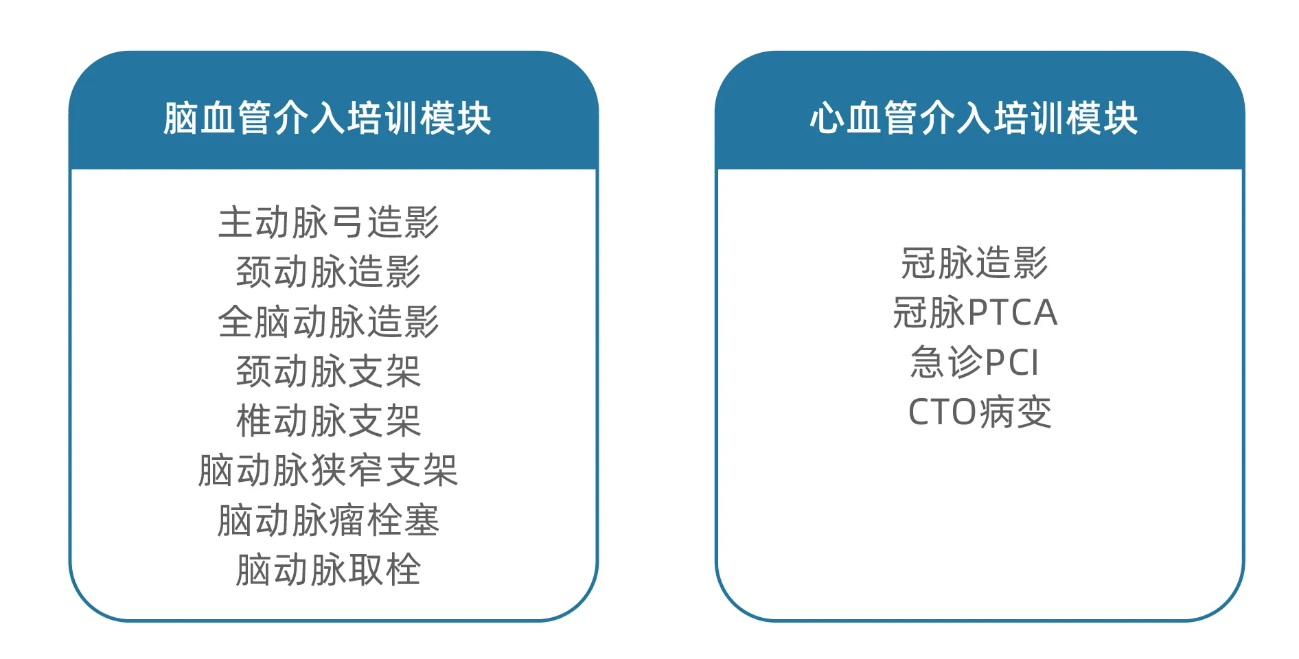 涵盖多项心脑血管介入培训模块