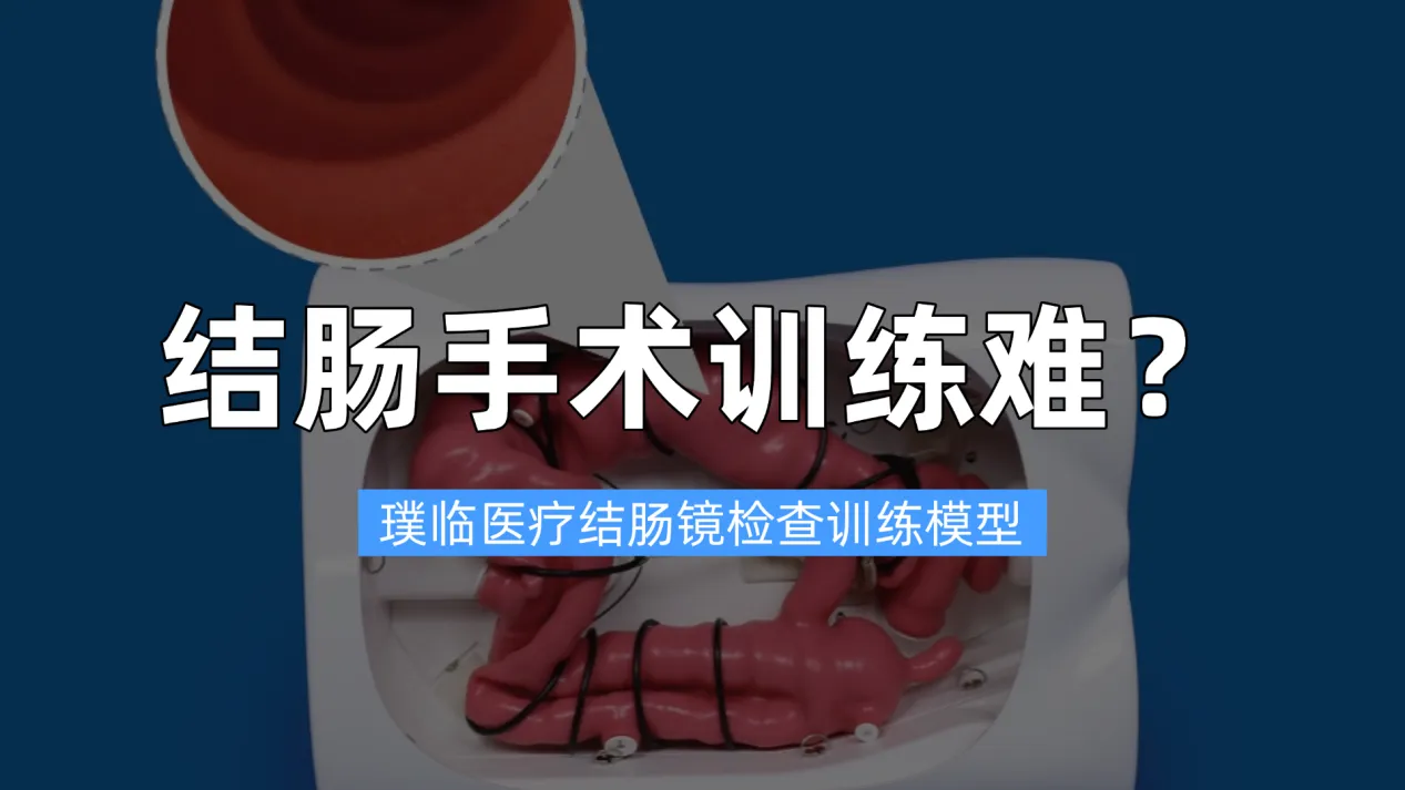 璞临医疗结肠模型，你的专业医学模型厂家