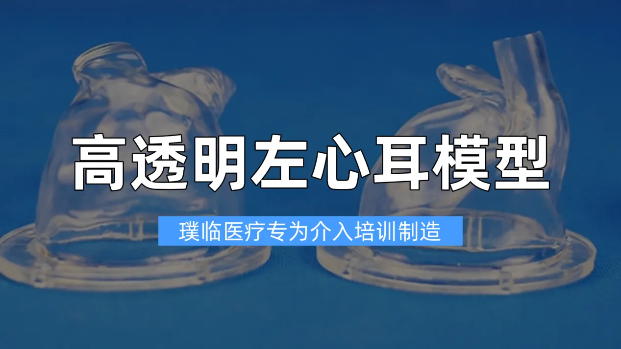 封堵术训练难题迎刃而解！璞临高仿真左心耳模型