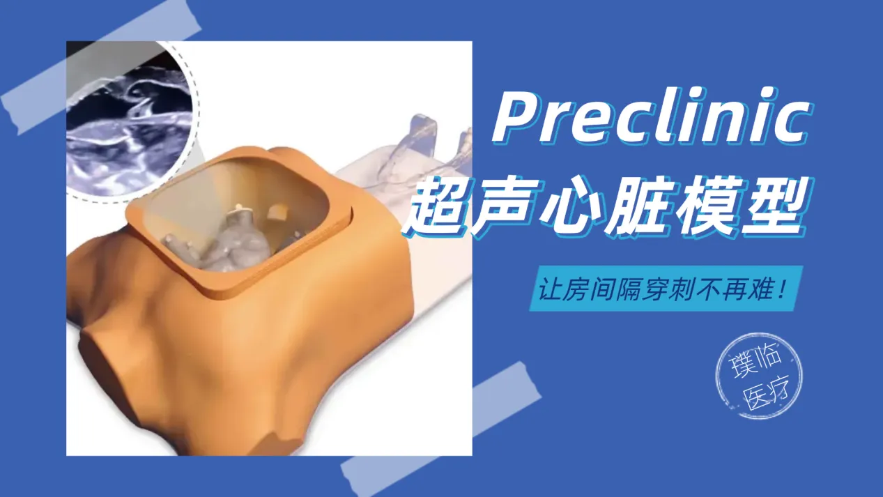 告别盲穿时代！璞临超声心脏模型让房间隔穿刺有迹可循