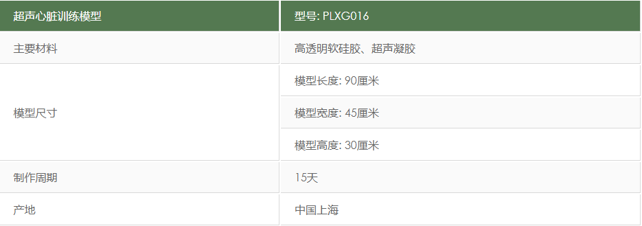 超声心脏模型规格.png