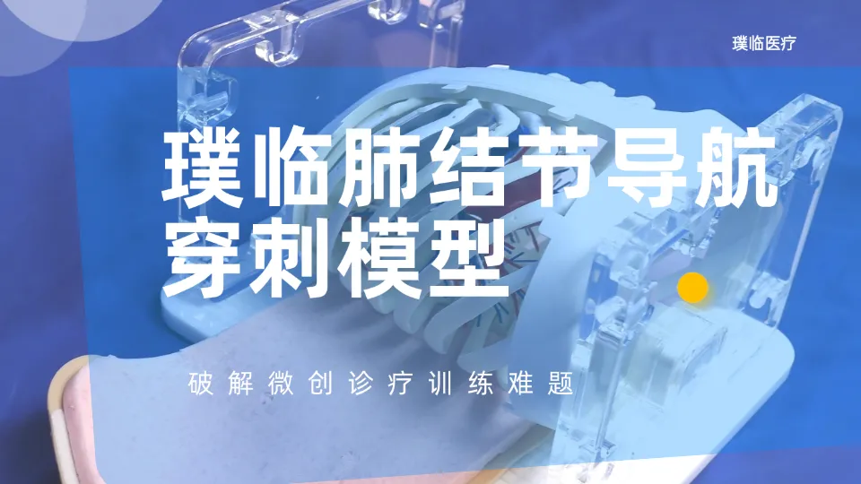 肺结节导航穿刺模型哪家好？看璞临如何破解微创诊疗训练难题