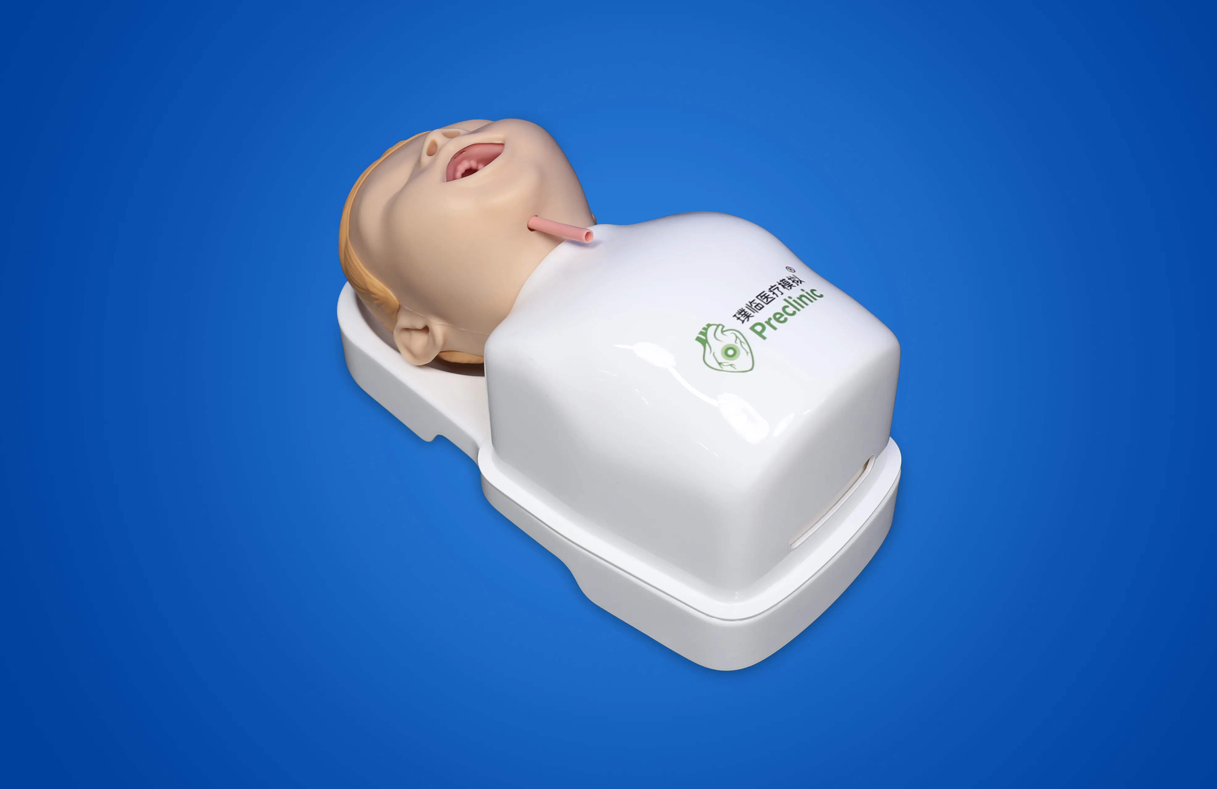 儿童支气管模型03