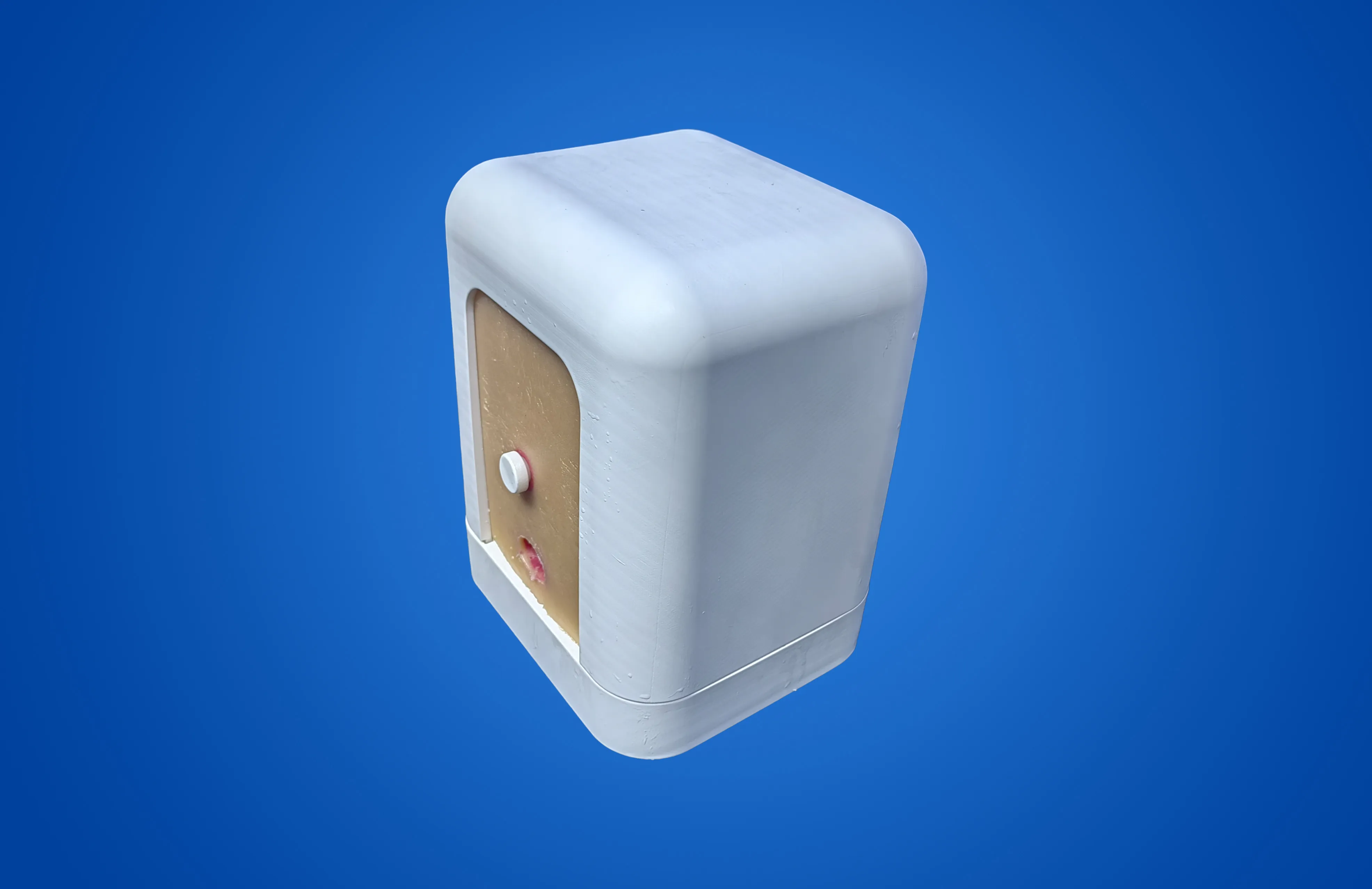 前列腺超声训练模型- A型