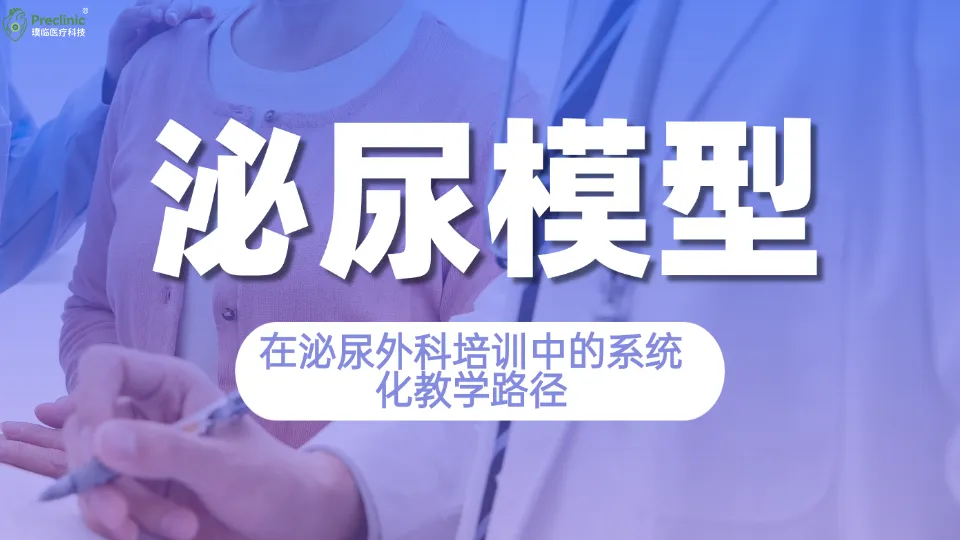 泌尿模型在泌尿外科培训中的系统化教学路径